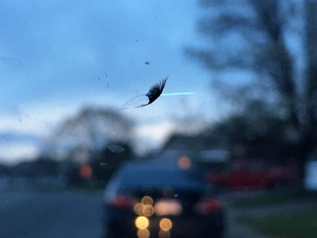 how much to replace windshield crack